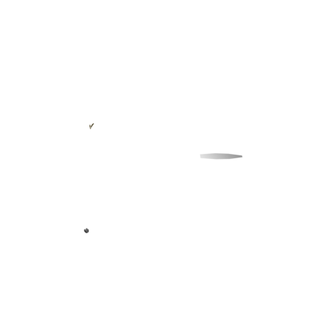 Wheat 3D model